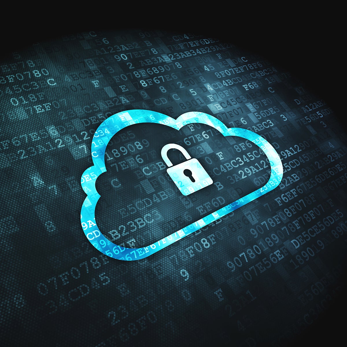 Cloud ERP Security | Plex