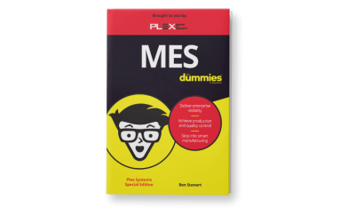 MES For Dummies Hardcover Book