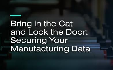 Bring in the Cat and Lock the Door: Securing Your Manufacturing Data