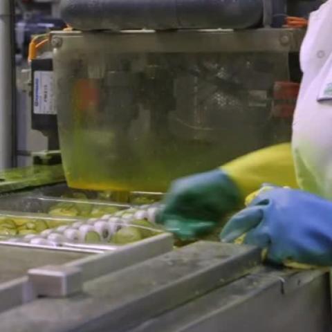 HowERPHelpsManufacturer