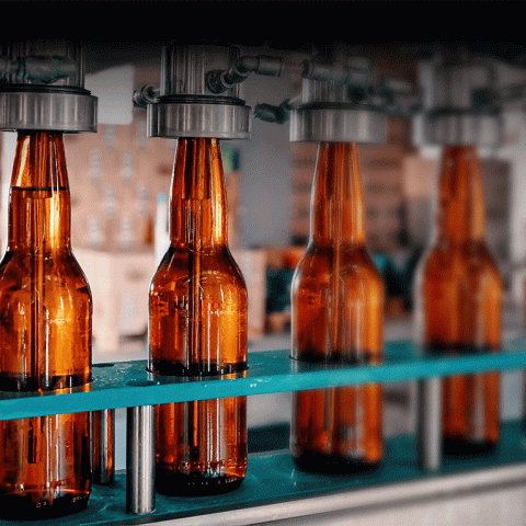 Food and Beverage Manufacturing - Beer Bottles