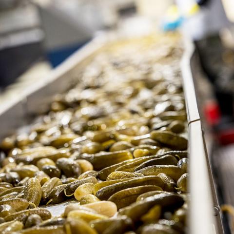 Food and Beverage - Snacks Manufacturing Platform - Hausbeck Pickles Quote