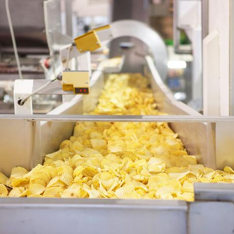 Food and Beverage - Snacks Manufacturing Platform - Chips