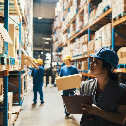 Warehousing Inventory Audit