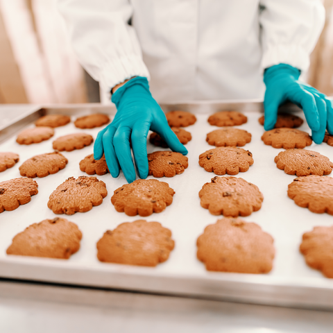 Food Safety