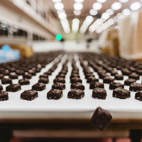 Sanders Chocolate Manufacturing