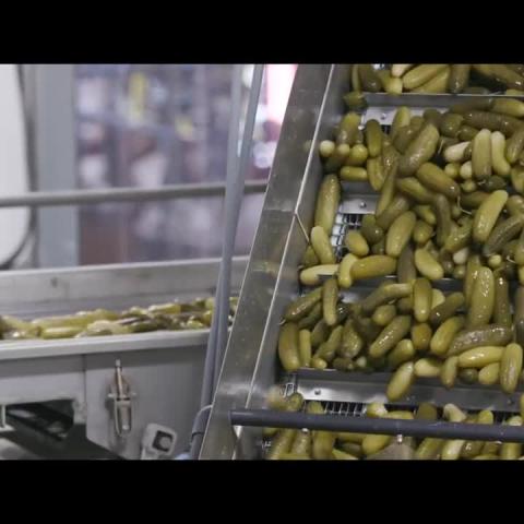 Hausbeck Pickles and Peppers Gains Real-Time Production Visibility and Traceability with Plex